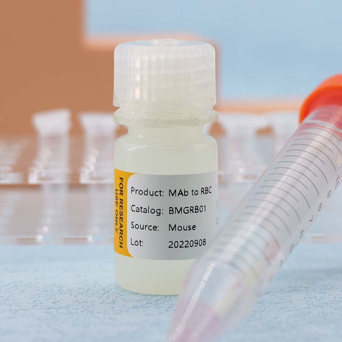 MAb to RBC - Image 3