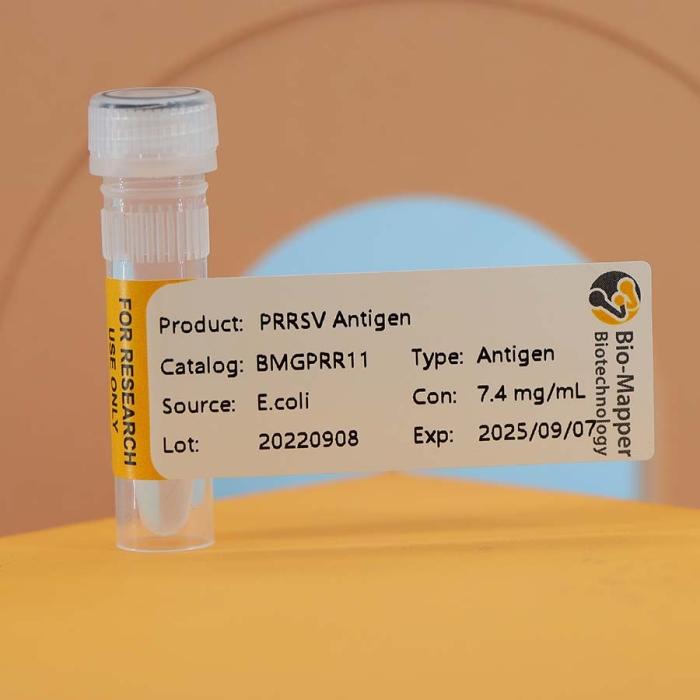 Porcine Reproductive And Respiratory Syndrome  (PRRSV)