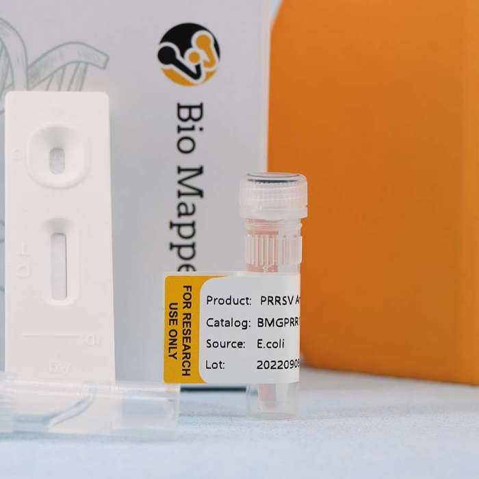 Porcine Reproductive And Respiratory Syndrome  (PRRSV) - Image 2