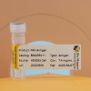 Pseudorabies Virus  (PRV)