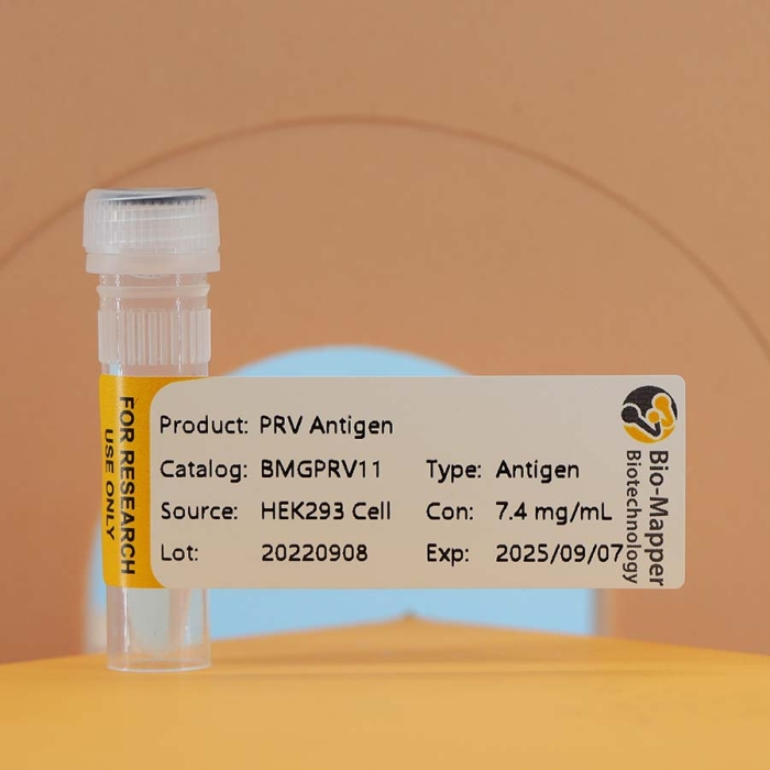 PseudoRabies Virus (PRV)