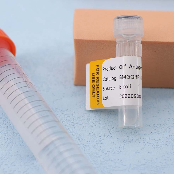 Sheep/Goat Pox Virus - Image 4