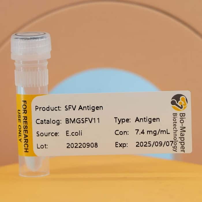 Swine Fever Virus (CSFV)