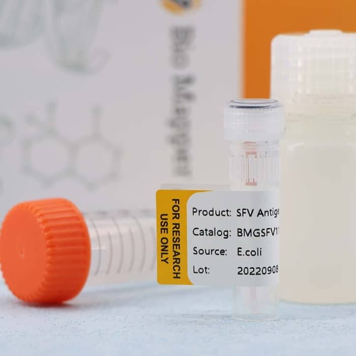 Swine Fever Virus (CSFV) - Image 3