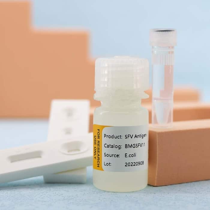Swine Fever Virus (CSFV) - Image 4