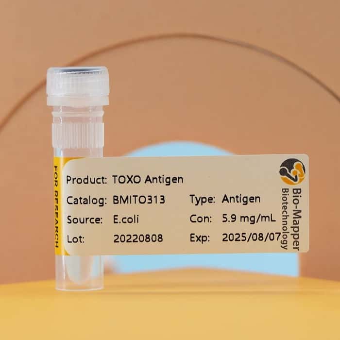 Toxoplasma