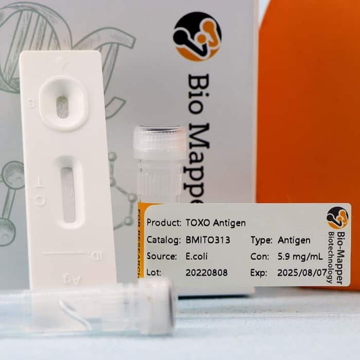 Toxoplasma - Image 2