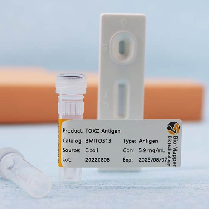 Toxoplasma - Image 4