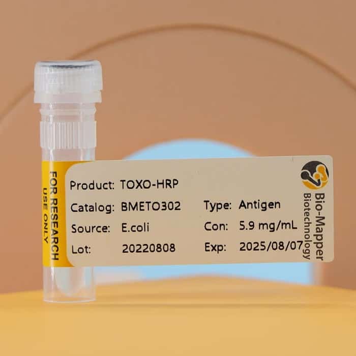 Toxoplasma