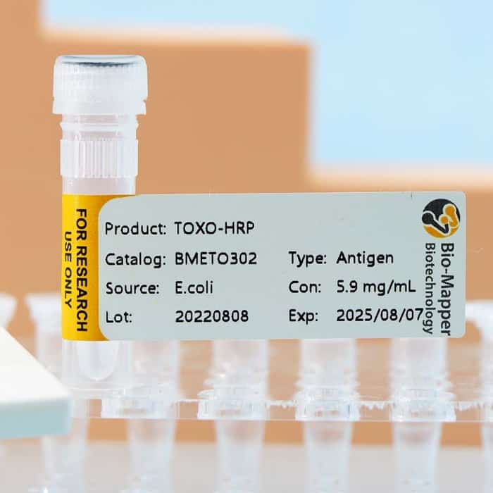 Toxoplasma - Image 4