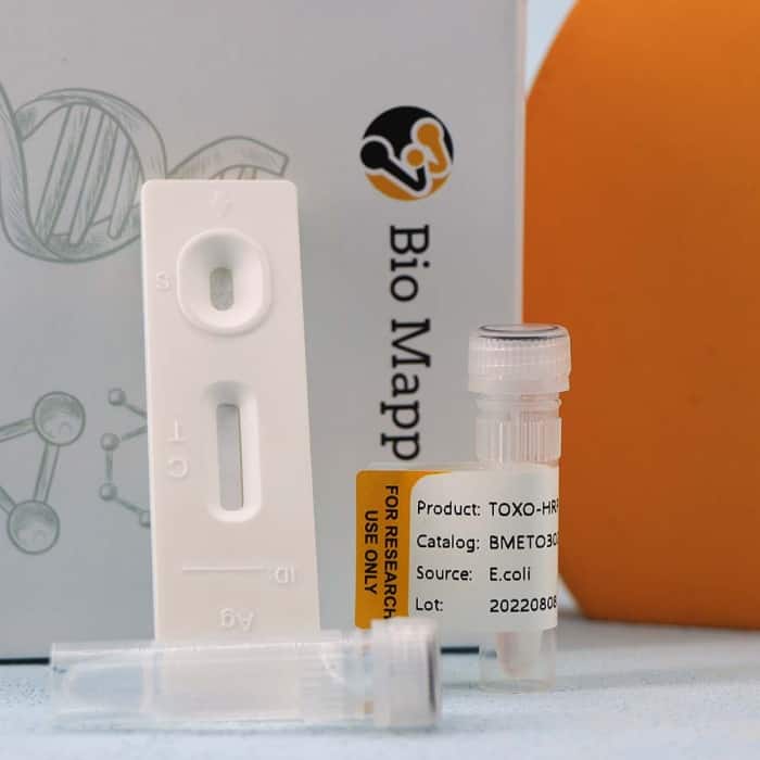 Toxoplasma - Image 2