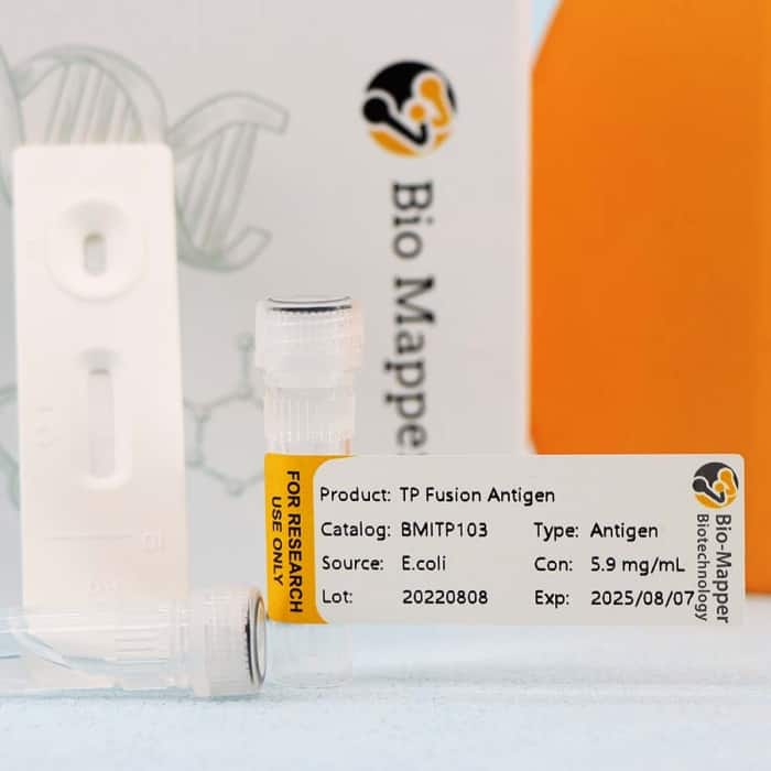 Treponema Pallidum (SYPHILIS) - Image 2