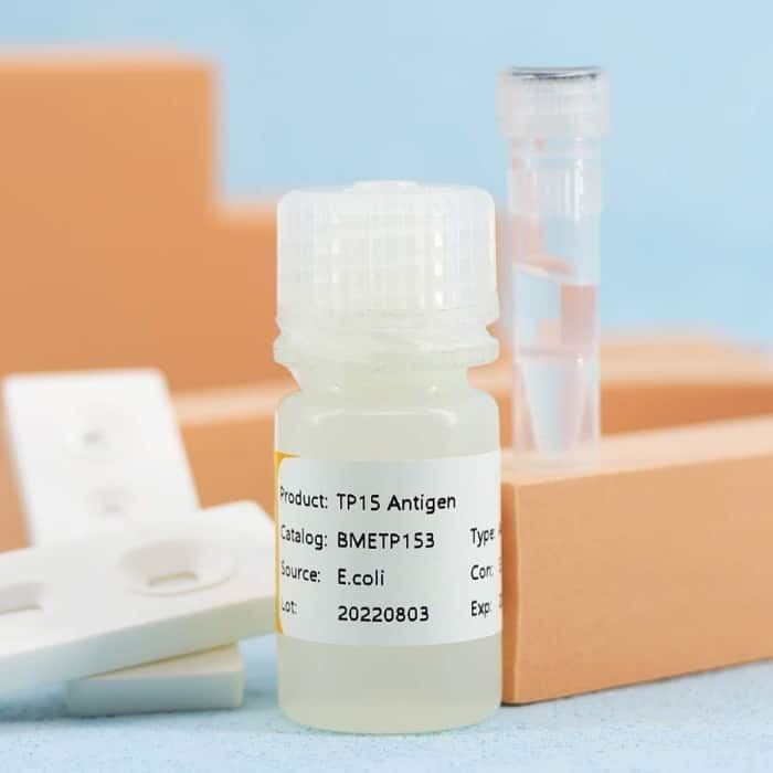 Treponema Pallidum (SYPHILIS) - Image 3