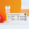 MAb to GST - Image 4
