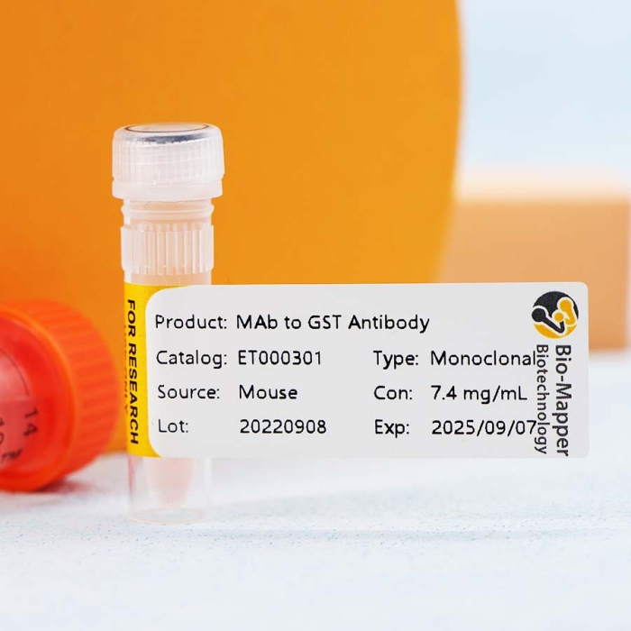 MAb to GST - Image 4
