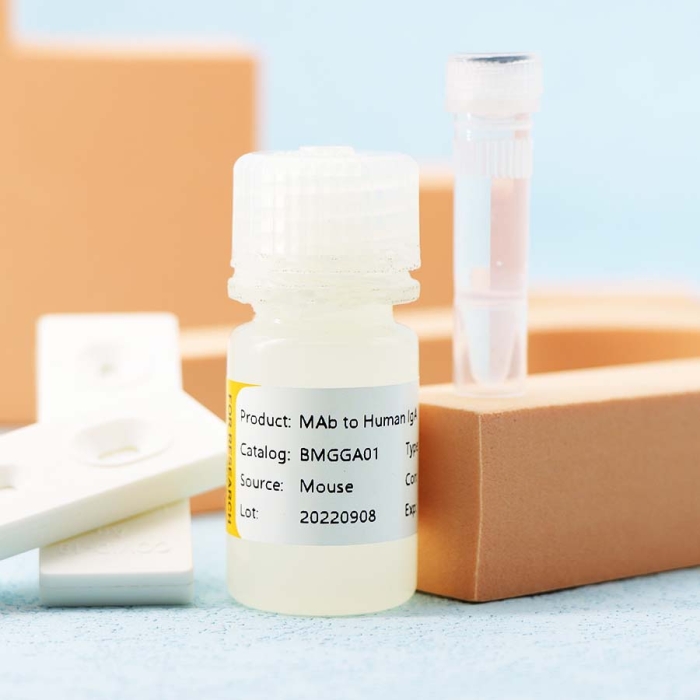 MAb to Human Ig A - Image 3