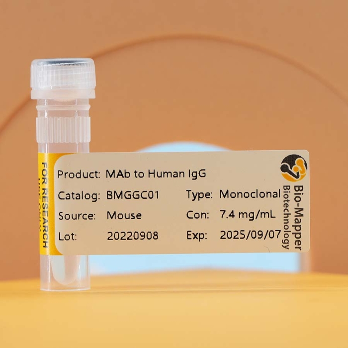 MAb to Human lgG
