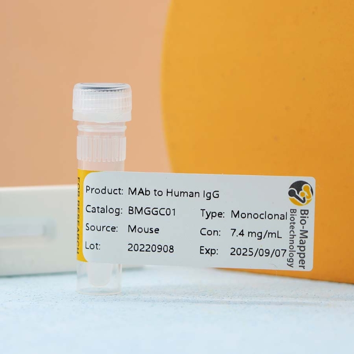 MAb to Human lgG - Image 4