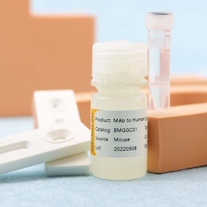 MAb to Human lgG - Image 3