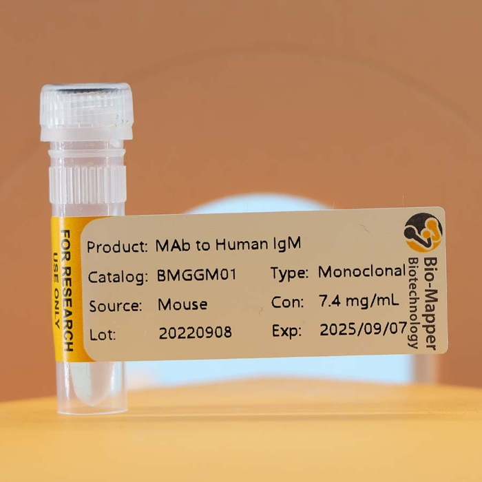 MAb to Human lgM