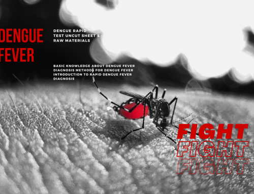 Fight Dengue Fever: Your Safety, Our Priority!——Dengue Rapid Test Uncut Sheet & Raw Materials