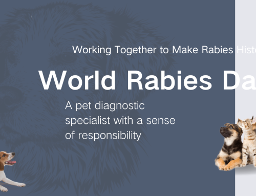 9.28 World Rabies Day | Animal immunization is the first step to prevent rabies