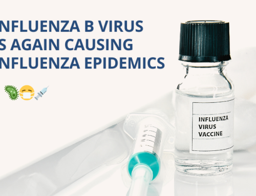 Influenza B virus is again causing influenza epidemics