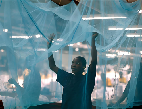 The Fight Against Malaria