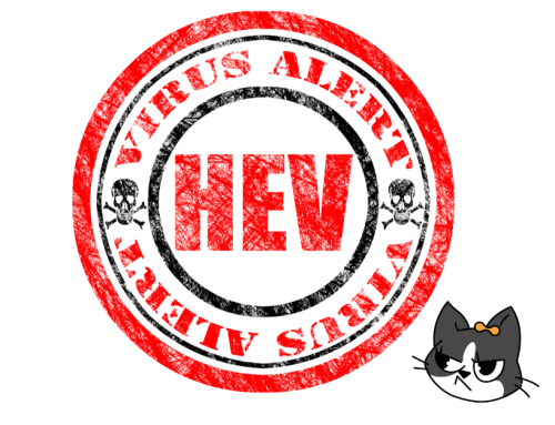 Care for health and stay away from hepatitis E