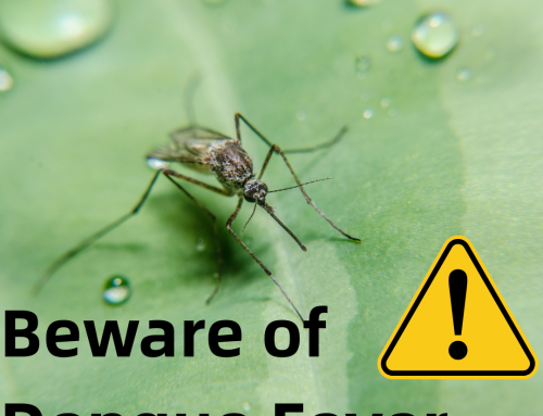 In-Depth Analysis | Overcoming Dengue Fever Diagnosis: From ADE Mechanism to NS1/Antibody Detection Core Raw Material Solution