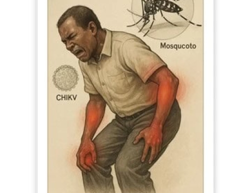 How to prevent and control the outbreak of Chikungunya fever? Bio-MAPPER provides one-stop diagnostic solutions