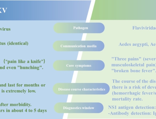 Chikungunya VS Dengue Fever: Solve the Difficult Problem of Differential Diagnosis, BIO-MAPPER’s One-Stop Core Raw Material Solution